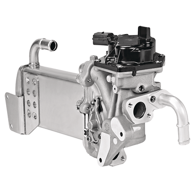 Module-EGR