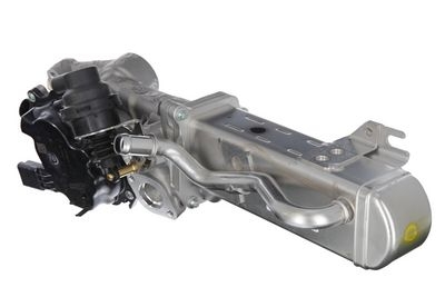 Module-EGR ORIGINAL PART