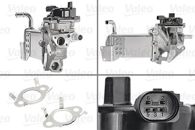 Module-EGR