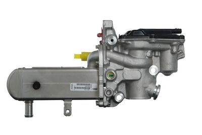 Module-EGR
