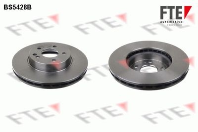 Disque de frein COATED RANGE FTE
