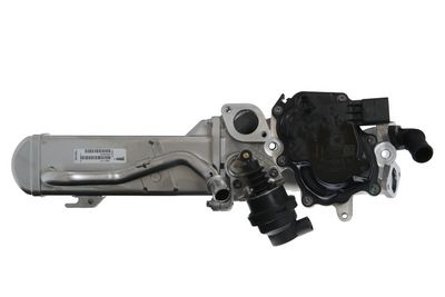 Module-EGR ORIGINAL PART