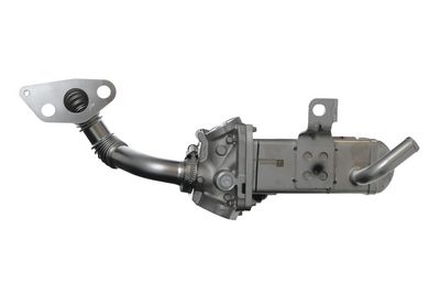 Module-EGR