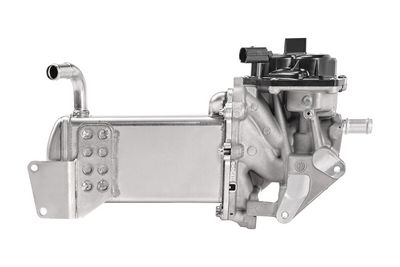 Module-EGR ORIGINAL PART